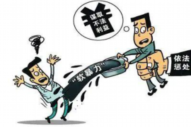 凤庆为什么选择专业追讨公司来处理您的债务纠纷？